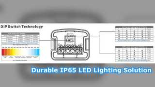 Dualrays D5 LED 삼중 증명 조명 IP65 에너지 효율