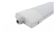 Meanwell 운전사 증기 증거 LED 빛 Dualrays 강선 40W 160LPW 효율성 IP65