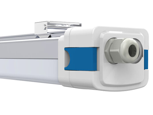 DUALRAYS D5 LED 방습등 (DIP 스위치 방식 전원/3CCT, 160LPW 효율)