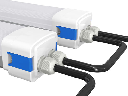 D5 LED 방습등 (DIP 스위치로 전원 변경 가능) 및 3CCT (3가지 색온도) 3/5*1.5/2.5mm2 관통 배선 옵션