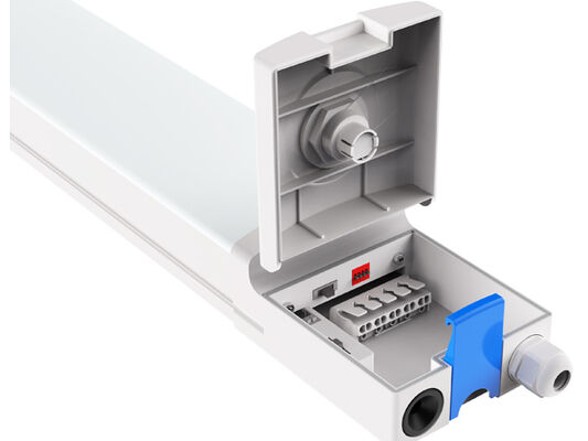 DUALRAYS 유럽 스타킹 LED 하이베이 조명 영업일 기준 3일 이내에 네덜란드에서 직접 배송 및 현지 애프터 서비스