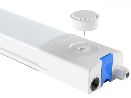 D4 LED 방습 램프, 최대 160LPW, Ready 4 비상 SDCM