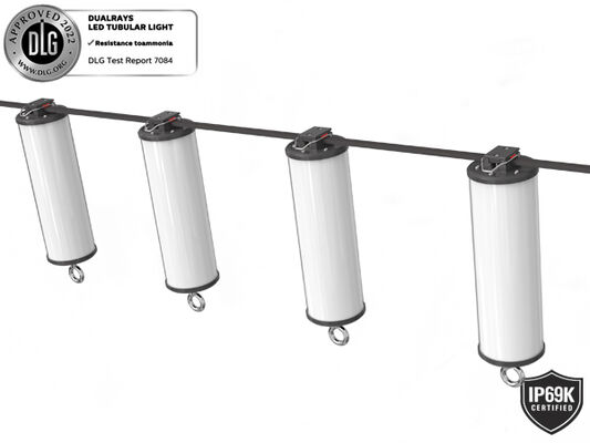 Dualrays D2 시리즈 50W 실외 및 실내 LED 삼중 증거 LED 고정 조명 160LMW 5ft 길이