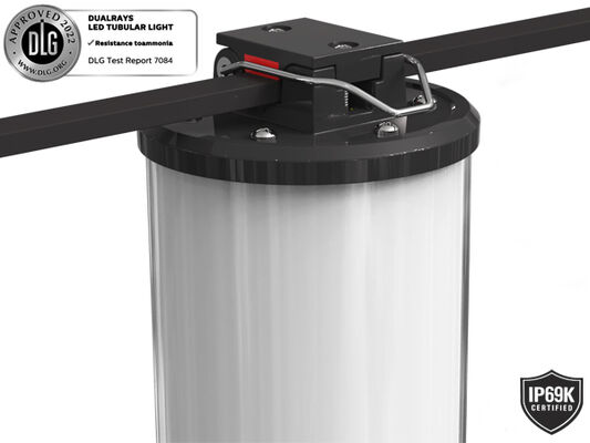 지하 Paking 비상 사태 LED 세 배 증거 빛 가득 차있는 PC 주거 IP65 IK08