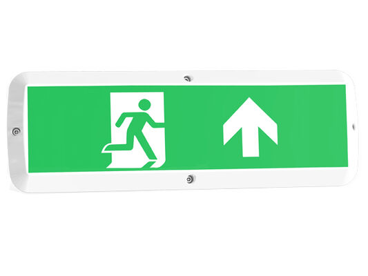 8W 벌크 헤드 LED 현관등 (비상 기능 및 모션 센서 포함) IP65