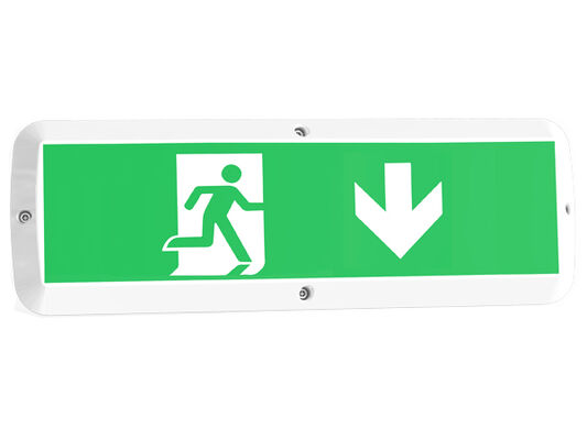 8W 벌크 헤드 LED 현관등 (비상 기능 및 모션 센서 포함) IP65