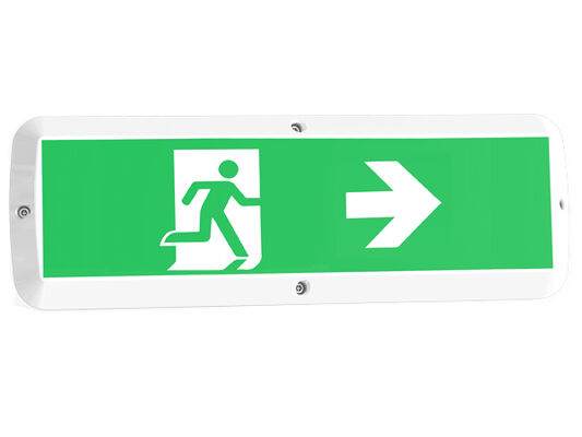 8W 벌크 헤드 LED 현관등 (비상 기능 및 모션 센서 포함) IP65