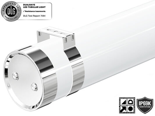 IP65 보호 기능이 있는 80W 15000mm 출력 LED 날씨 증거 빛