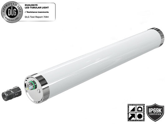 IP65 보호 기능이 있는 80W 15000mm 출력 LED 날씨 증거 빛