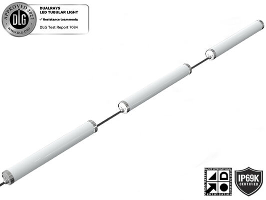 IP65 보호 기능이 있는 80W 15000mm 출력 LED 날씨 증거 빛