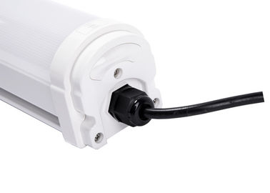 보장 5 년을 가진 LED 세 배 증거 빛 120LM/W IP66 IK10 AC100~277V