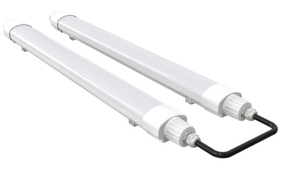 슈퍼마켓을 위한 Boker 운전사를 가진 Dualrays D2 시리즈 40W LED 세 배 증거 빛 IP65 수증기 증거 IK10
