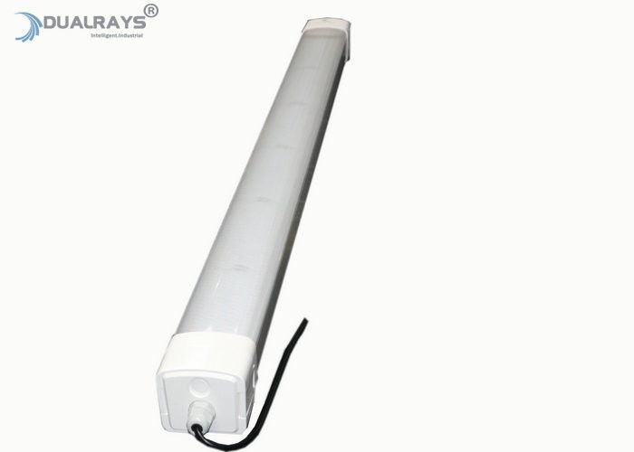 Dualrays D5 시리즈 60W 4ft 저조도 감쇠 LED 트라이 프루프 라이트 160LPW Primeline 120LPW 프롤린