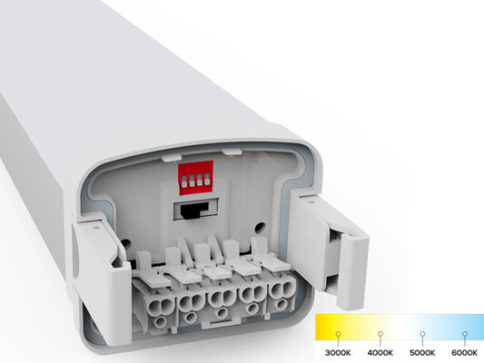 D5 LED 방습등 (DIP 스위치로 전원 변경 가능) 및 3CCT (3가지 색온도) 3/5*1.5/2.5mm2 관통 배선 옵션