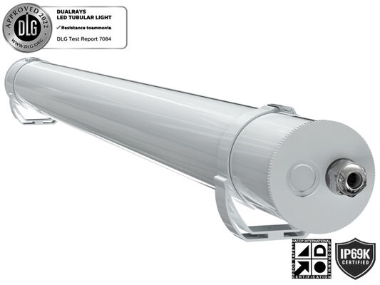 물 먼지 증기 증거 LED 트라이 증거 빛 160LPW 20W 30W 40W 50W PIR 센서 T8 튜브 교체