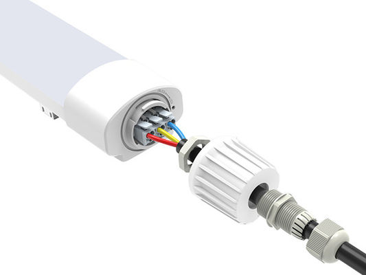 가득 찬 플라스틱 트리 증명 빛 36W D2 IP65는 위호엘살레 프로젝트를 위해 방습 빛 IP65 IK08을 이끌었습니다